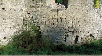 15 Izydora Roberta Zofi i 22 Heleny
